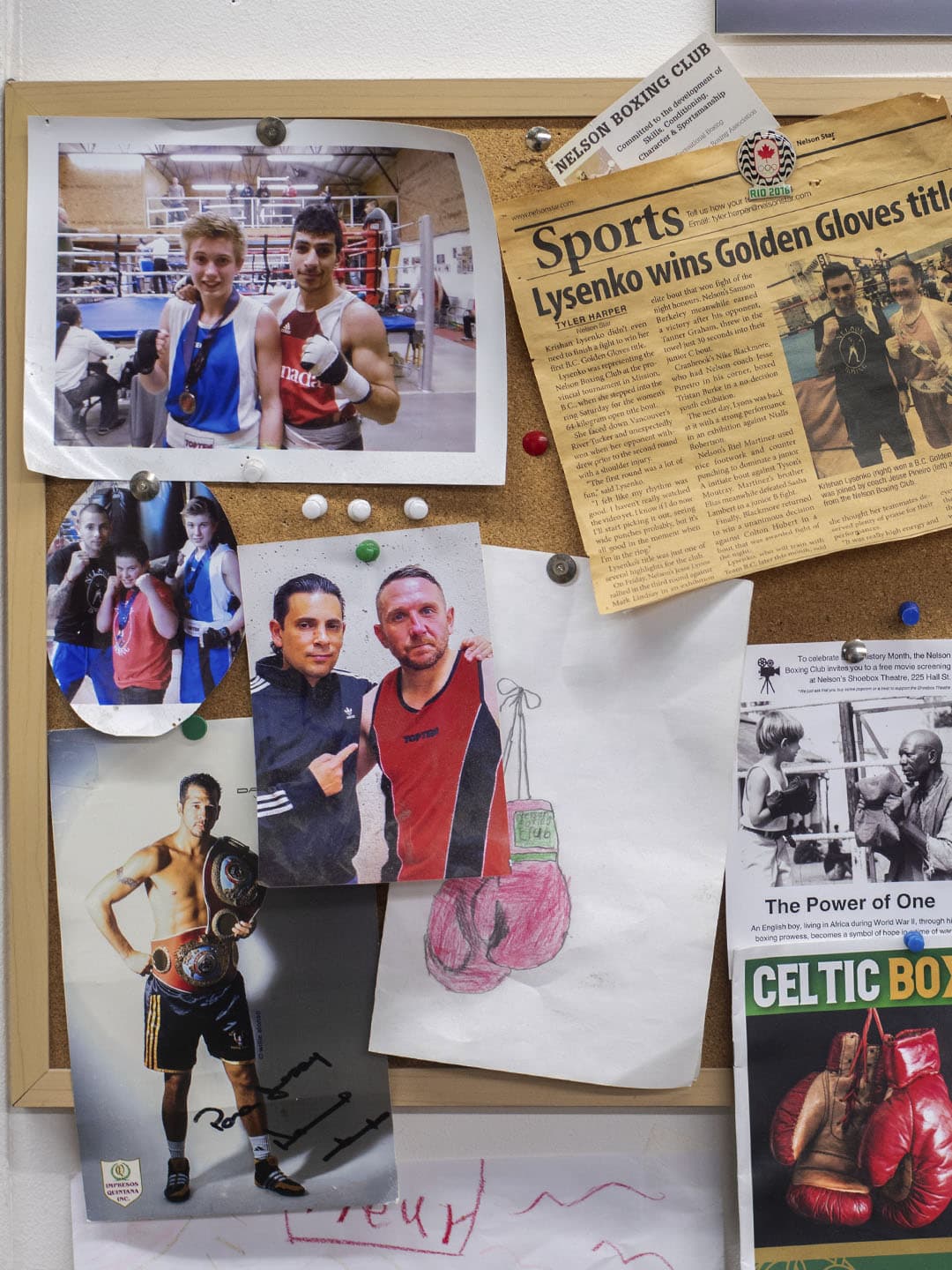 Nelson Boxing Club website section showing training spaces, memberships, and facility photography.